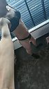 voor het raam, foto 888x1599, 3 reacties, 17 stemmen