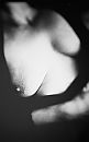 voor jou, foto 799x1280, 123 reacties, 331 stemmen