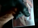 voor, film 00:00:00, 1 reacties, 6 stemmen