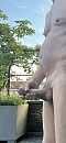 wachten op de zon, foto 1239x2681, 1 reacties, 5 stemmen
