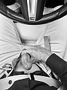 wanna take a ride?, foto 3000x4000, 3 reacties, 5 stemmen