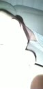 warm zaad, film 00:00:30, 2 reacties, 6 stemmen