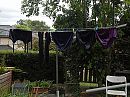 was dag, foto 800x600, 0 reacties, 6 stemmen