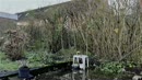 waterballet in de tuin, film 00:00:28, 4 reacties, 25 stemmen