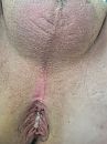 wie wil, foto 1536x2048, 5 reacties, 13 stemmen