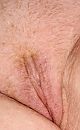 x, foto 1959x3146, 9 reacties, 24 stemmen