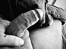 x, foto 4000x3000, 1 reacties, 13 stemmen