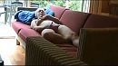 xxx, foto 1440x816, 3 reacties, 37 stemmen