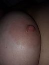 zachte tiet, foto 720x960, 1 reacties, 10 stemmen