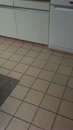 ze moest plassen, film 00:00:14, 3 reacties, 39 stemmen
