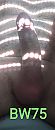 zin in zon...., foto 1715x4000, 0 reacties, 0 stemmen
