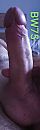 zin........, foto 733x2317, 0 reacties, 6 stemmen