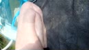 zo geil om te doen, film 00:00:27, 11 reacties, 17 stemmen