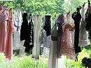 zo word men tuin vandaag, foto 400x300, 3 reacties, 13 stemmen