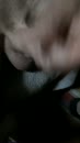 zondag, film 00:00:14, 9 reacties, 17 stemmen