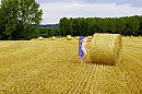 102, foto 4000x2666, 1 reacties, 11 stemmen