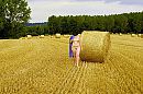 103, foto 4000x2666, 1 reacties, 20 stemmen