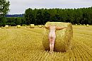 107, foto 4000x2666, 1 reacties, 20 stemmen