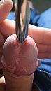 10mm close up, foto 2250x4000, 3 reacties, 8 stemmen