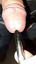 10mm sound, foto 2252x4000, 5 reacties, 7 stemmen
