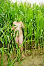 114, foto 2666x4000, 3 reacties, 19 stemmen