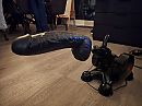 12 inch, foto 2000x1500, 6 reacties, 19 stemmen
