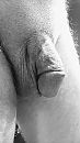144, foto 2253x4000, 2 reacties, 9 stemmen