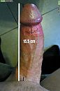 15,5 cm en 15,5 cm rondom, foto 999x1497, 3 reacties, 3 stemmen