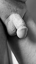 152, foto 2253x4000, 1 reacties, 4 stemmen