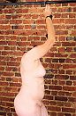 176, foto 2669x4000, 0 reacties, 9 stemmen