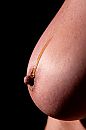 1, foto 2666x4000, 8 reacties, 50 stemmen