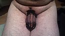 201712Picture187, foto 864x480, 0 reacties, 4 stemmen