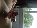 2022 ff relaxen, foto 2592x1940, 2 reacties, 13 stemmen