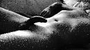 Sex, foto 1920x1080, 1 reacties, 1 stemmen
