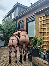 2 geile, foto 3000x4000, 24 reacties, 71 stemmen