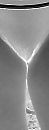 #venusheuvel, foto 640x1682, 3 reacties, 2 stemmen
