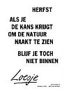 2, foto 189x267, 1 reacties, 1 stemmen
