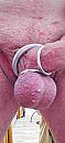 3 ringen cock ball, foto 1504x3264, 0 reacties, 1 stemmen