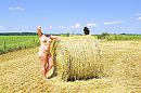 377, foto 4000x2666, 2 reacties, 20 stemmen