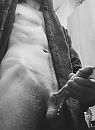 ;), foto 1751x2370, 1 reacties, 5 stemmen