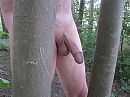 ??, foto 4000x3000, 2 reacties, 11 stemmen