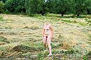 40, foto 4000x2665, 2 reacties, 12 stemmen