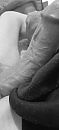 [K]lik me !, foto 1845x4000, 0 reacties, 1 stemmen