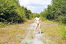99, foto 4000x2664, 4 reacties, 31 stemmen