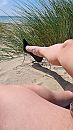 Aankleden, foto 2250x4000, 8 reacties, 27 stemmen