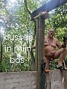 Aan't klussen in mijn bos, foto 1200x1600, 3 reacties, 9 stemmen