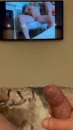 Sperma spuiten op Ria, film 00:00:00, 1 reacties, 28 stemmen