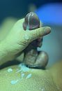 Alstublieft!, foto 2242x3258, 10 reacties, 22 stemmen