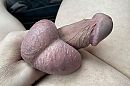 Alweer, foto 2048x1372, 3 reacties, 18 stemmen