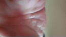 Amateur sex tape, film 00:00:00, 3 reacties, 15 stemmen